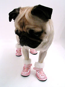 PugBoots